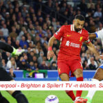 liverpool brighton premier liga elo focimeccs spiler1 tv