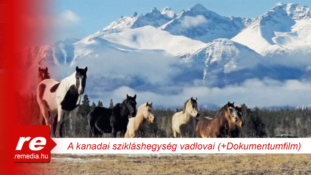 a kanadai sziklashegyseg vadlovai nature tv