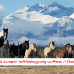 a kanadai sziklashegyseg vadlovai nature tv