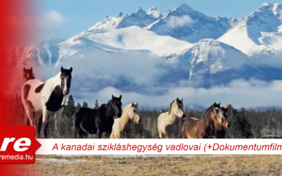 a kanadai sziklashegyseg vadlovai nature tv
